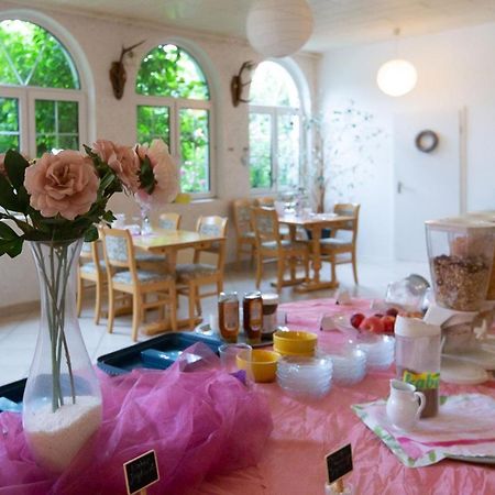 Hotel Dolgesheim المظهر الخارجي الصورة